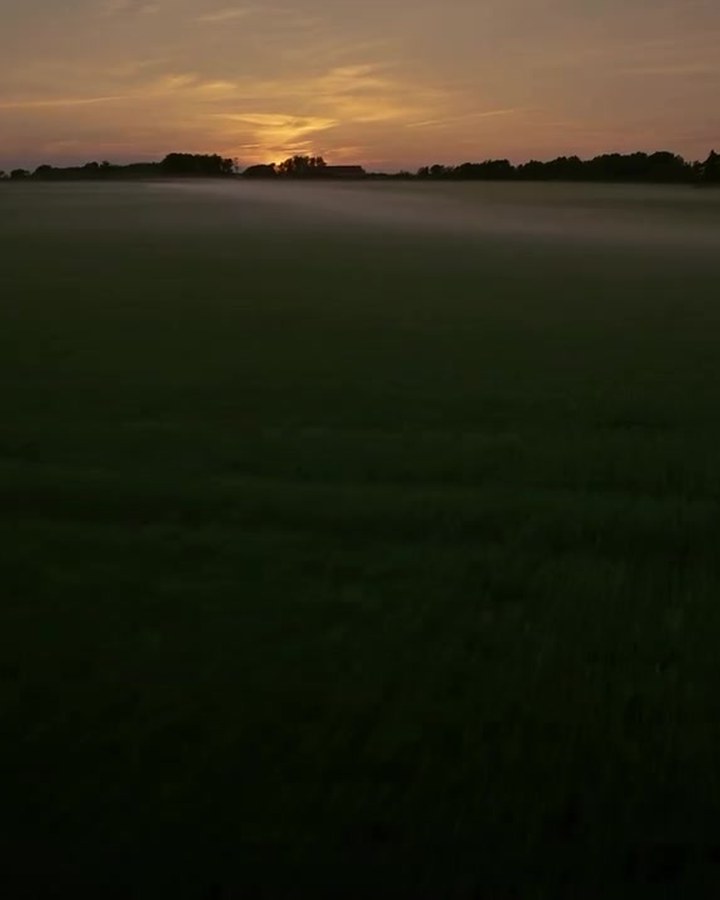 Still from Lantmännen